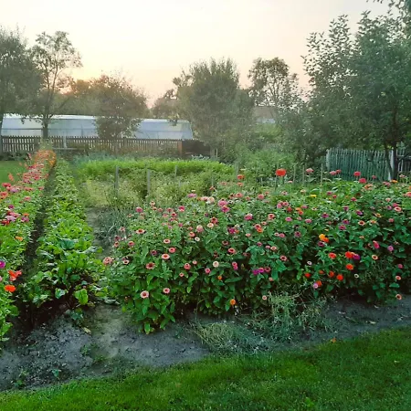 Dom Pod Gorami شقة Mirsk