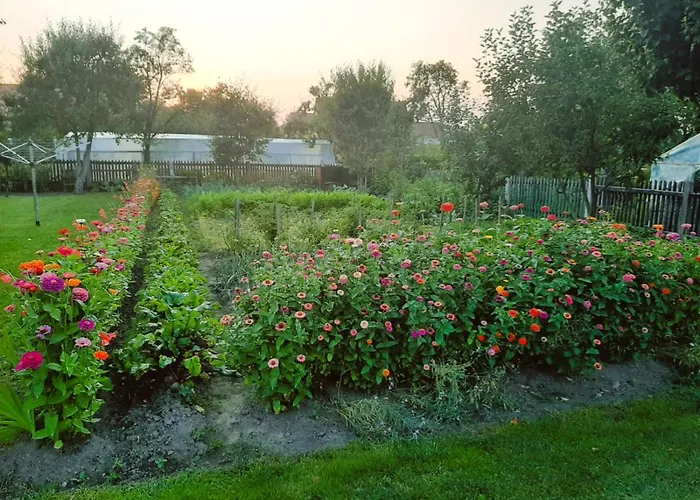 Dom Pod Gorami 公寓 Mirsk